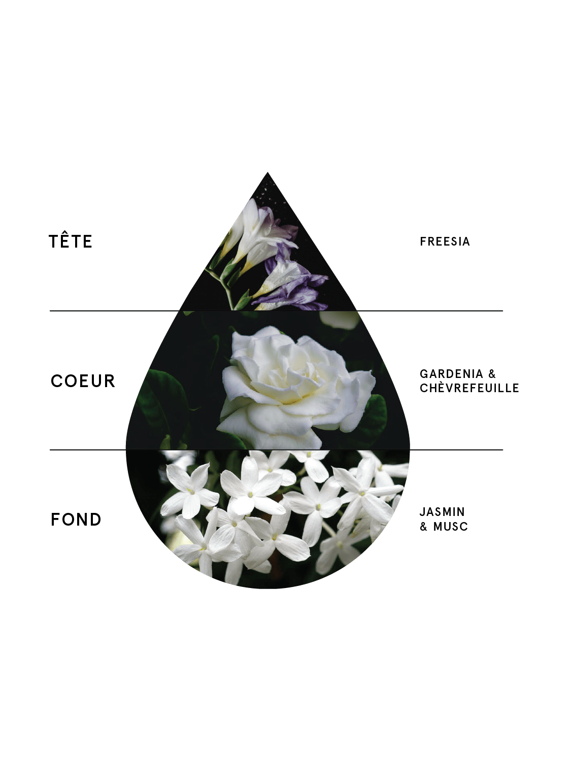 Perfume Fleur - Made in Canada - RUby Brown – Ruby Brown