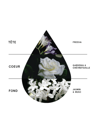 Fleur - Ruby Brown